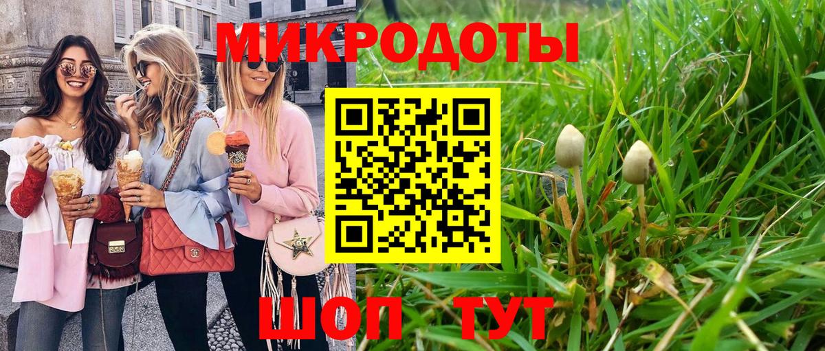 Галлюциногенные грибы ЛСД  сколько стоит  Борзя  Псилоцибиновые грибы Psilocybe  Вход с VPN 
